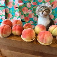 【農ラミの桃2025】美味しい桃をちょっとだけよ～桃4個入