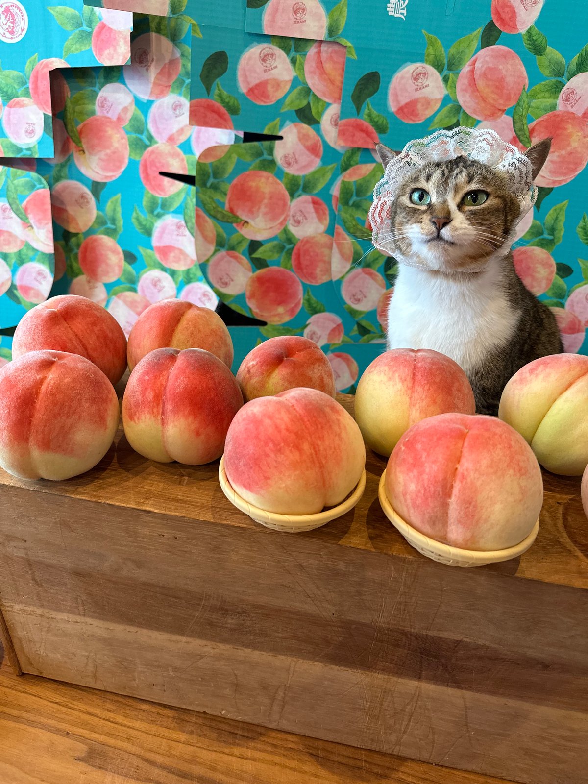 桜桃　11月② 冬ギフトにも】無添加☆桃農家の桃ジャム（270g×2本）セット：岡山県