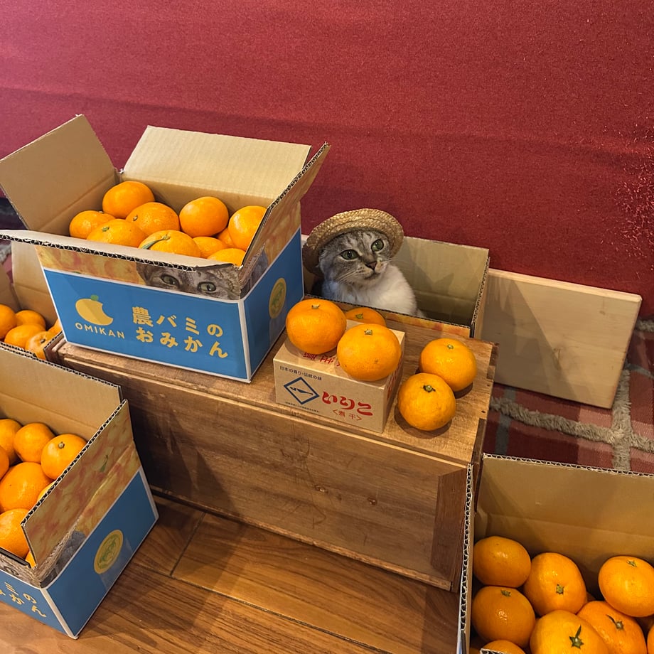 6745a5834fb4900a0dafa523