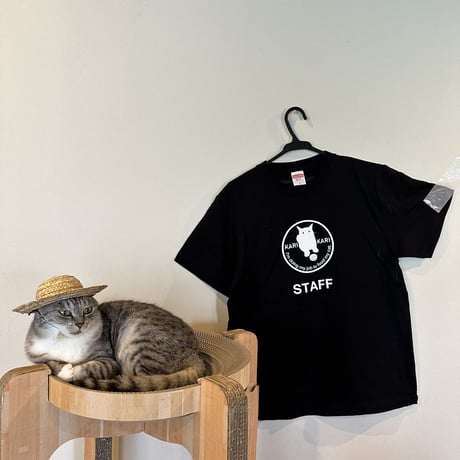 STORES 猫の検索結果