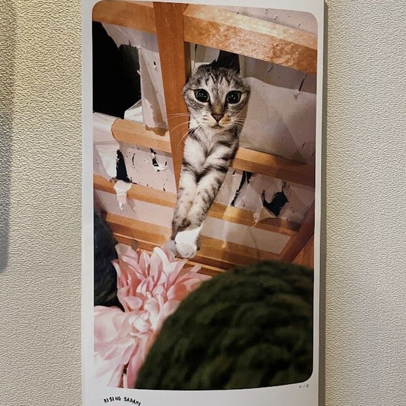 めいとこねこバス CL-175 カレンダー めいとこねこバス CL-175 カレンダー