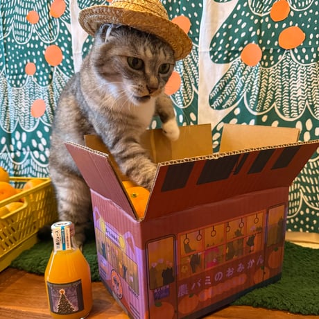 ココニャエンタープライズ