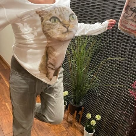 ココニャエンタープライズ