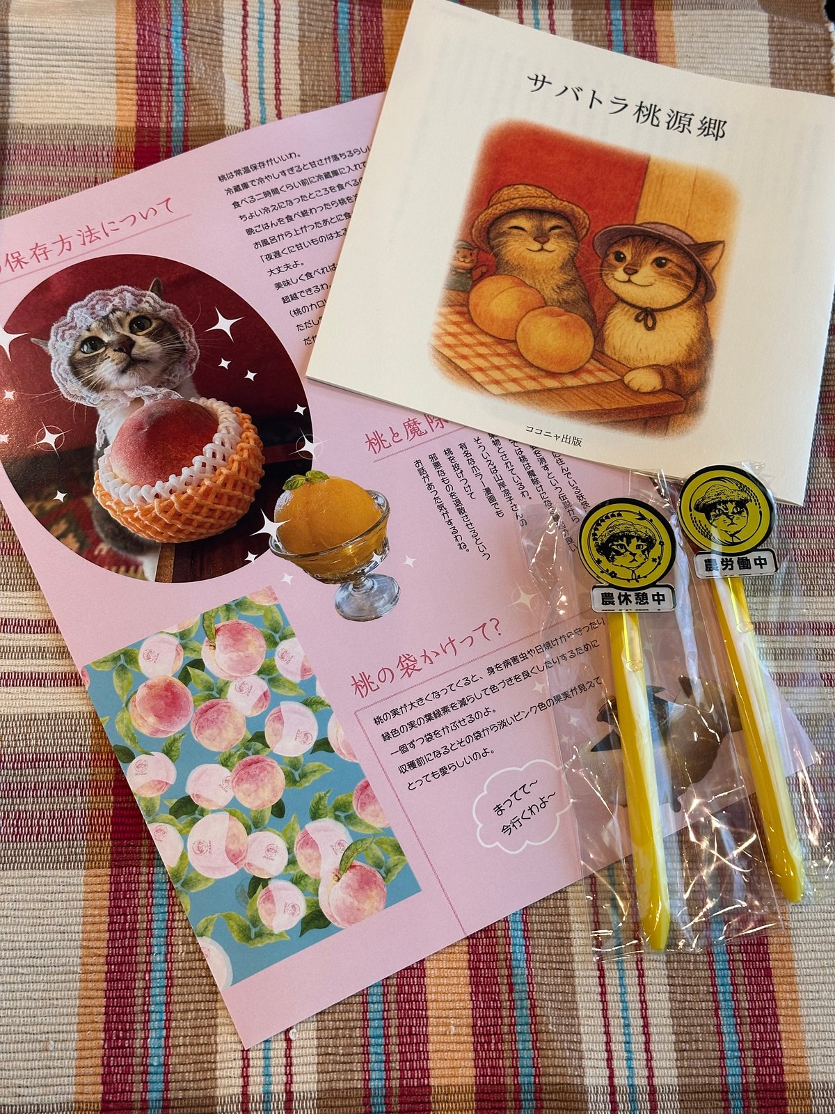 農ラミの桃2025】美味しい桃をちょっとだけよ～桃4個入 | ココニャ