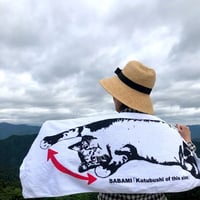 これくらいのバミタオル