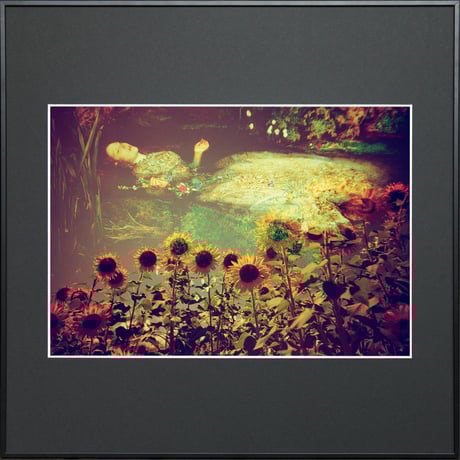 Photo NO.36