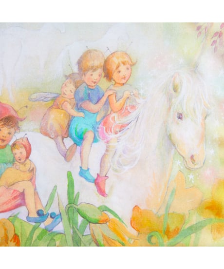 Fairyland -Seek & Find  /Sarah's silks