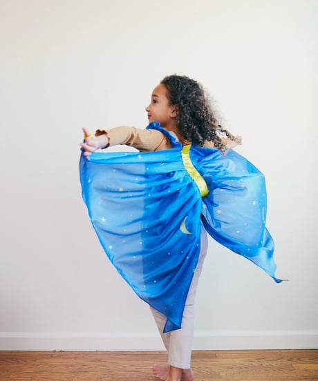 Wings Starry Night/Sarah's silks