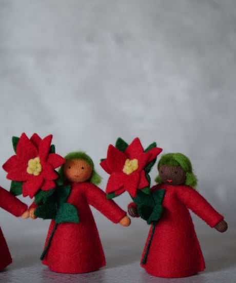 ポインセチアBoy  Medium　/Ambrosius dolls