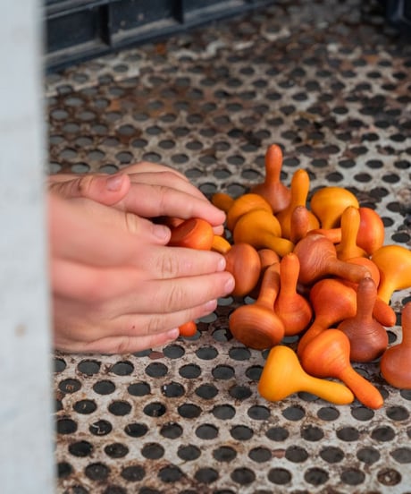 Mandara PUMPKINS / grapat