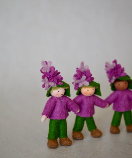 プリンス　ライラック　 /Ambrosius dolls