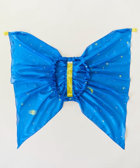 Wings Starry Night/Sarah's silks