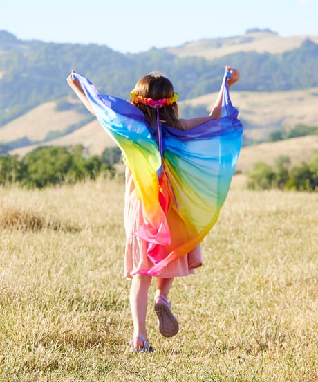 Wings Rainbow/Sarah's silks