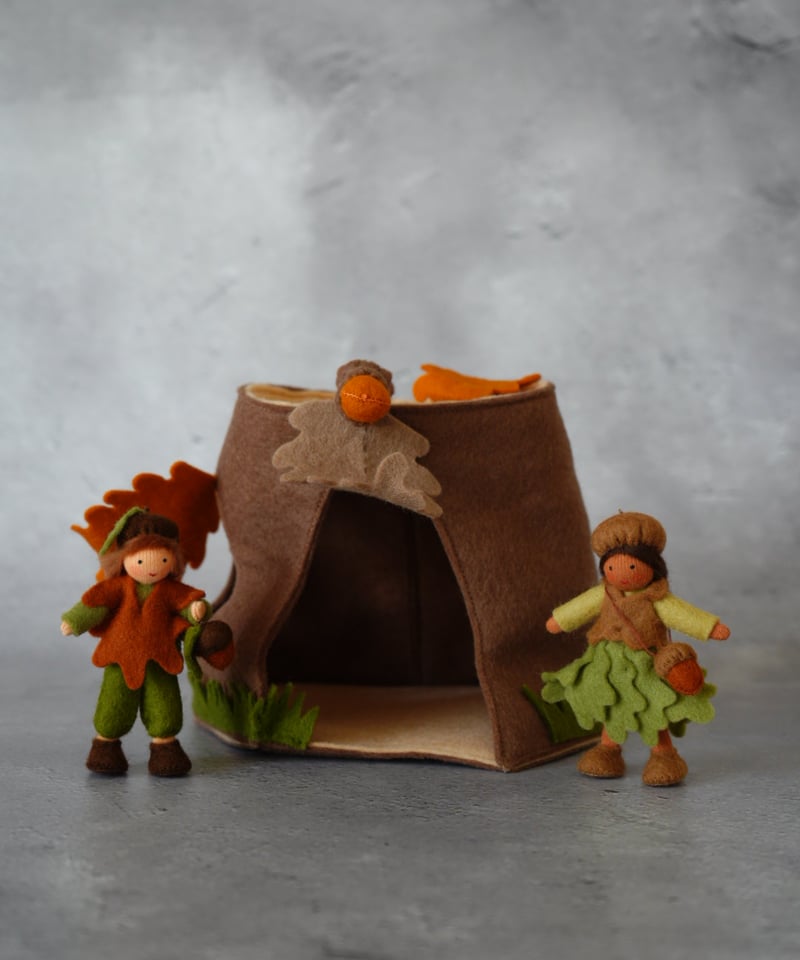 どんぐりBoy | Moinapi