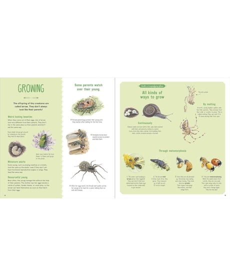 The Book of Tiny Creatures