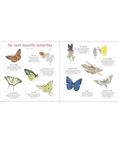 The Book of Tiny Creatures