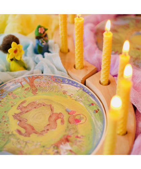 【受注商品】  Wild the year-round set/Wilded Family