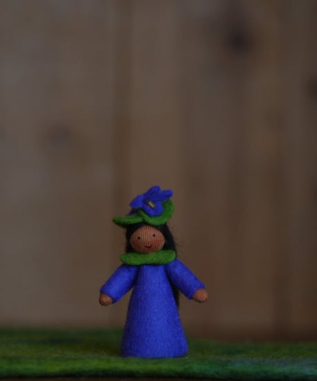すみれの妖精　ブラウン