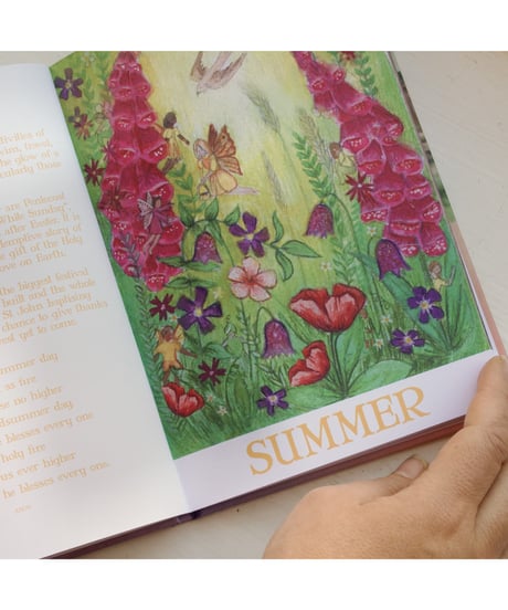 Wilded Journey Through the Year /Wilded Family