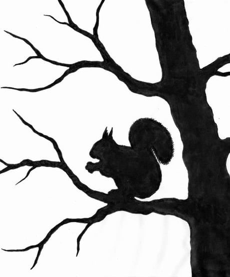 DIY Transparency: Squirrel  (DIYトランスパレンシーキット：りす)　　/　Toverlux