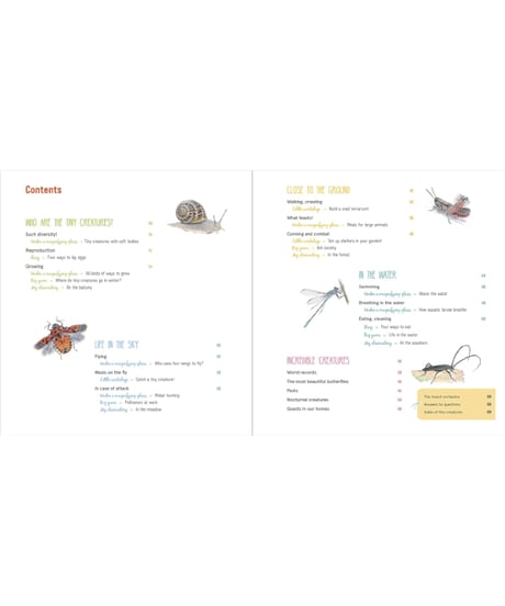 The Book of Tiny Creatures