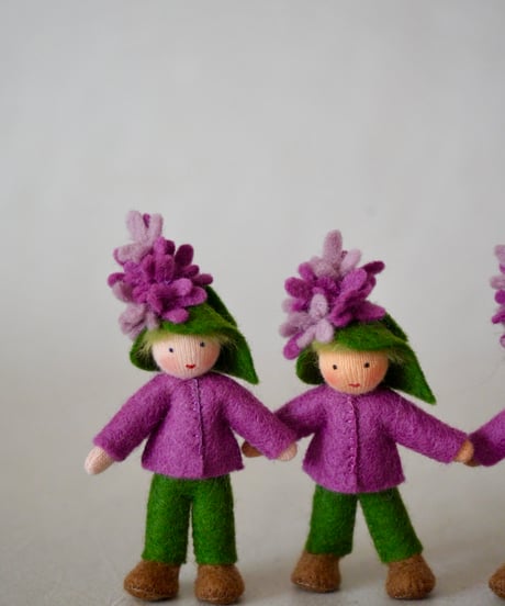 プリンス　ライラック　 /Ambrosius dolls