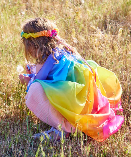 Wings Rainbow/Sarah's silks