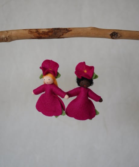 ペチュニア　ハンギング /　Ambrosius dolls