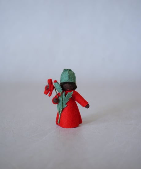 ポピーBoy 　Medium