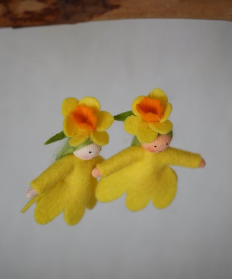 水仙　ハンギング /　Ambrosius dolls