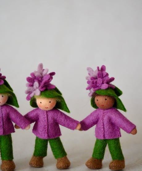 プリンス　ライラック　 /Ambrosius dolls