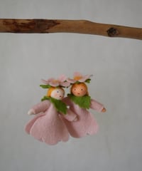野ばら　ハンギング /　Ambrosius dolls