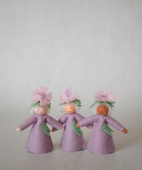 カーネーション　Medium/　Ambrosius dolls