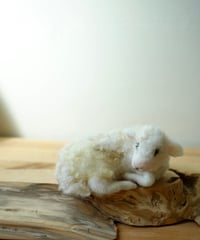 Sheep B　(伏せている)　/Margo