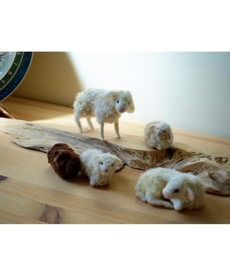 Sheep B　(伏せている)　/Margo