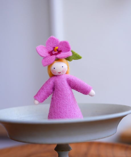 ハイビスカスの妖精(ピンク) ホワイト