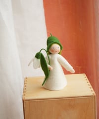 スノードロップ　/　Ambrosius dolls