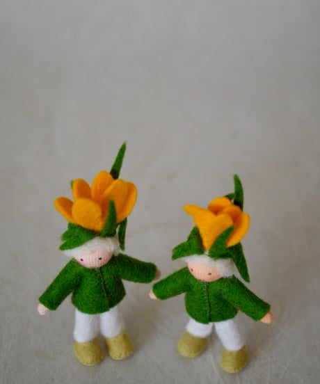 プリンス　クロッカス　 /Ambrosius dolls