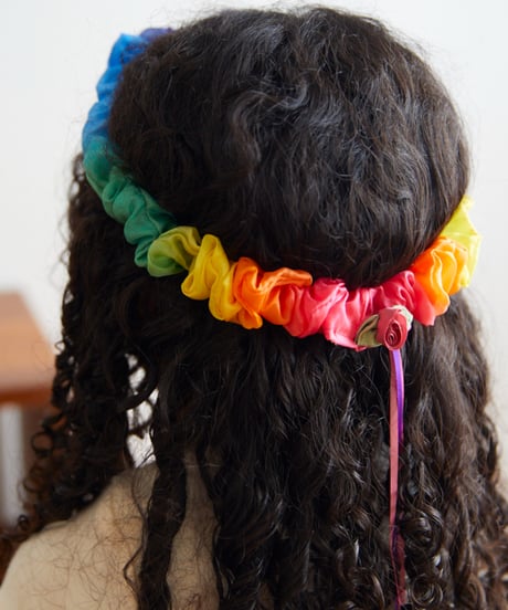 Rainbow  Gaeland /Sarah's silks