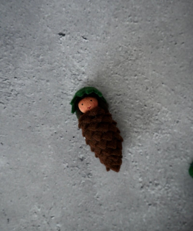 松ぼっくりと人 74471497_2384782975071443_6448