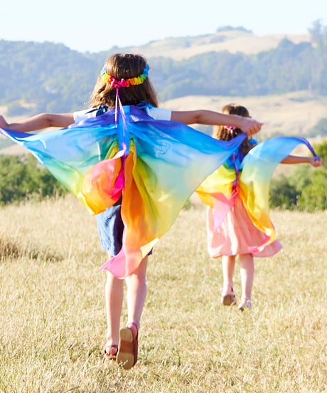 Wings Rainbow/Sarah's silks