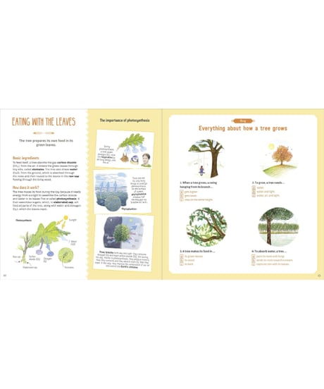 The Book of Amazing Trees