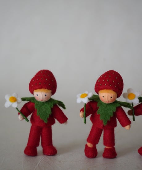 プリンス　ストロベリー　 /Ambrosius dolls