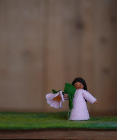 野ばらの妖精1　ブラウン