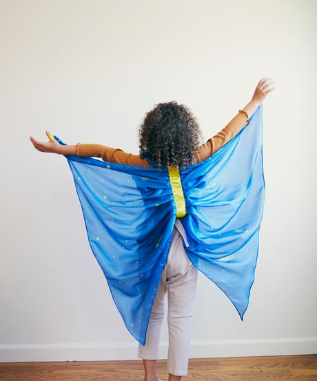 Wings Starry Night/Sarah's silks