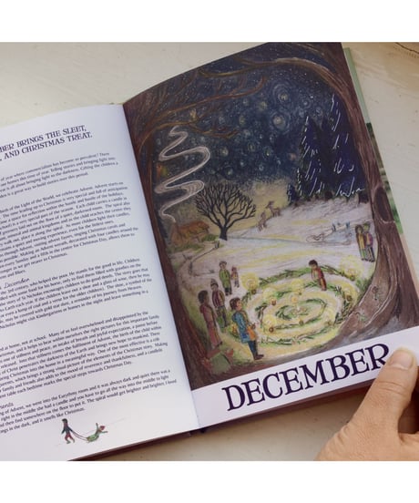 Wilded Journey Through the Year /Wilded Family