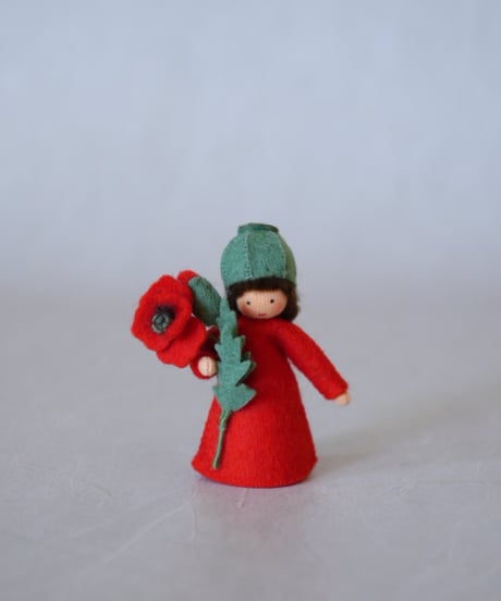 ポピーBoy 　Medium