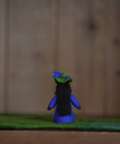 すみれの妖精　ブラック