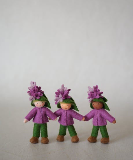 プリンス　ライラック　 /Ambrosius dolls