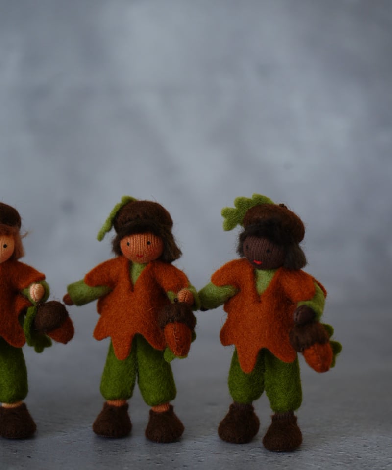 どんぐりBoy | Moinapi